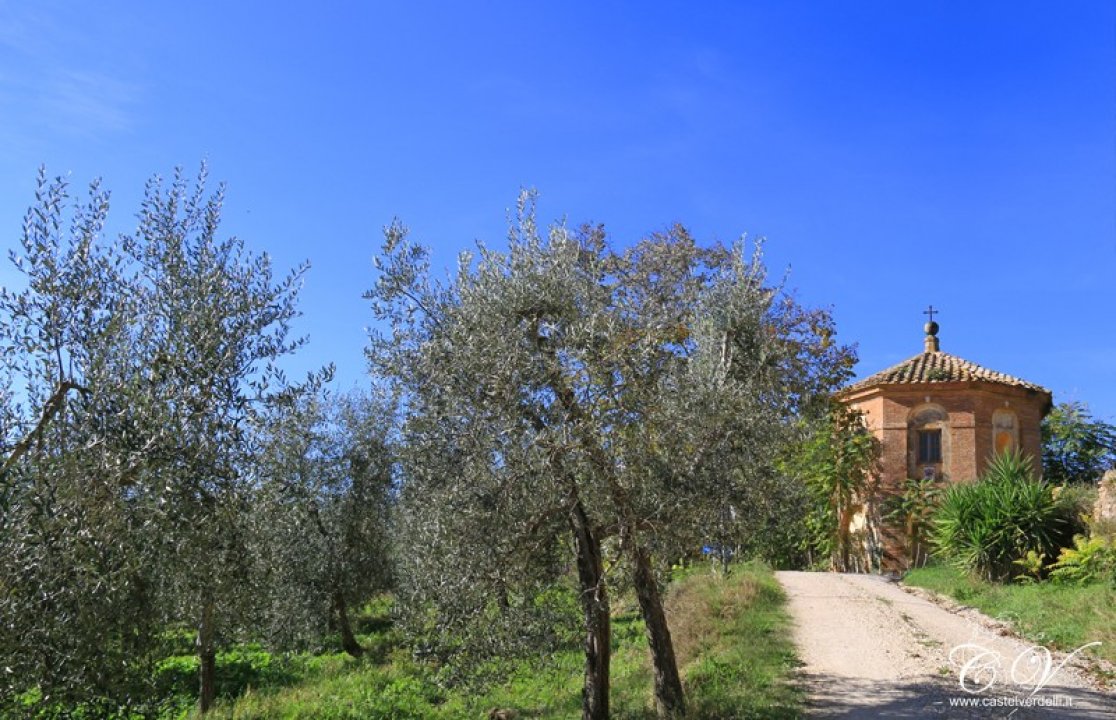 A vendre château in zone tranquille Montalcino Toscana foto 16