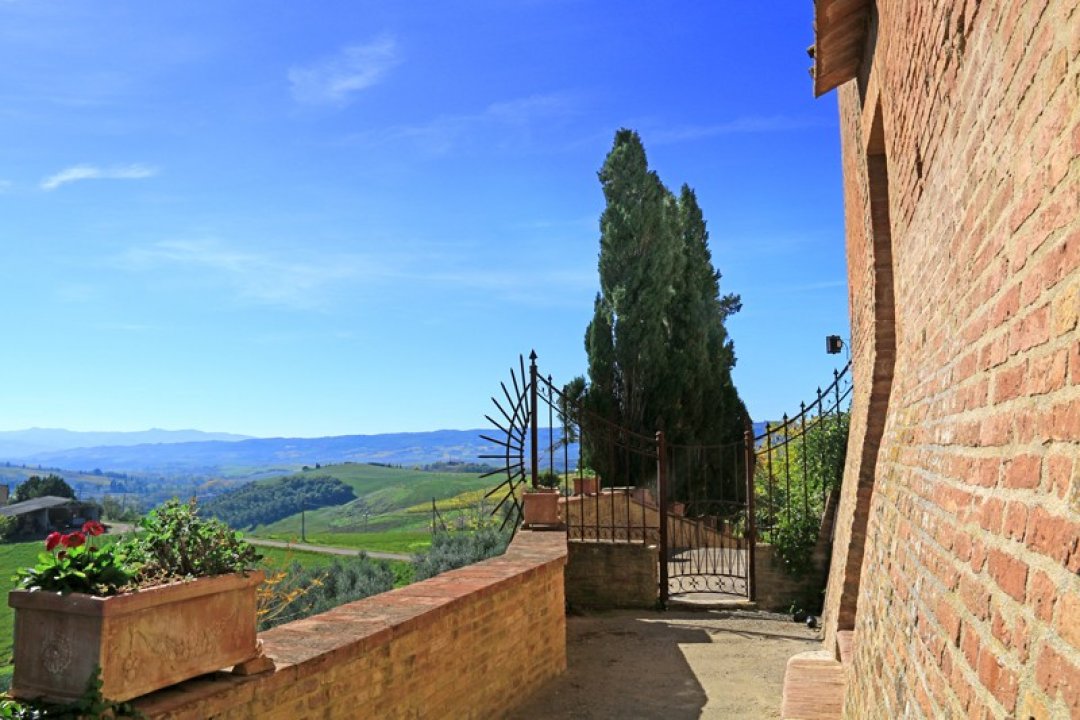 A vendre château in zone tranquille Montalcino Toscana foto 5