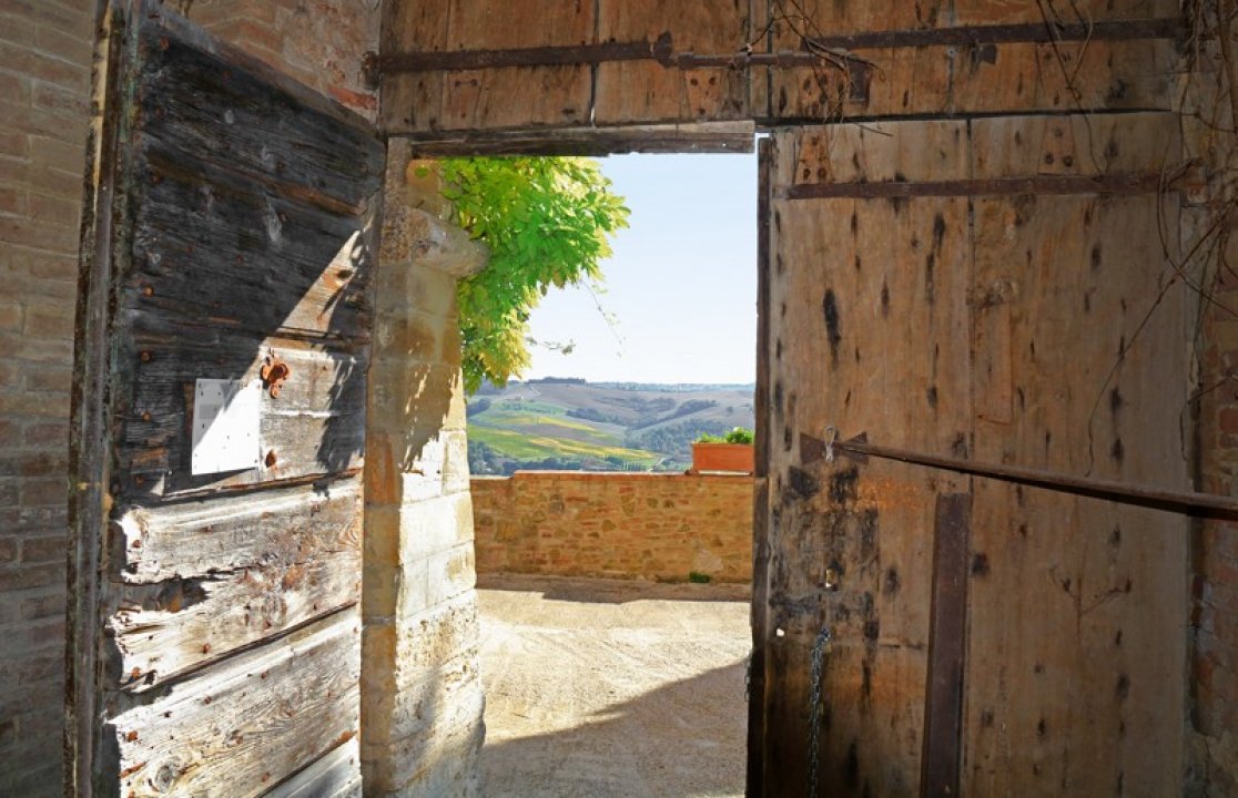 A vendre château in zone tranquille Montalcino Toscana foto 10