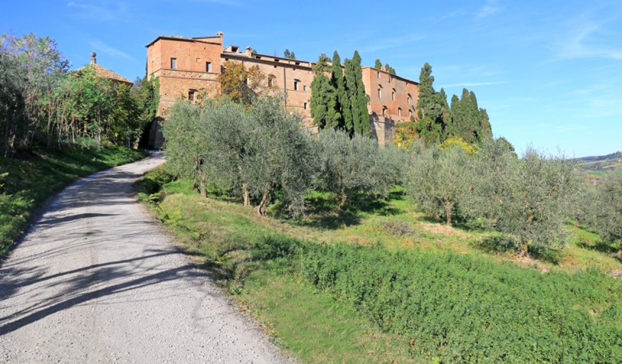 A vendre château in zone tranquille Montalcino Toscana foto 19