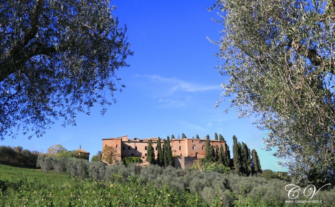 A vendre château in zone tranquille Montalcino Toscana foto 18