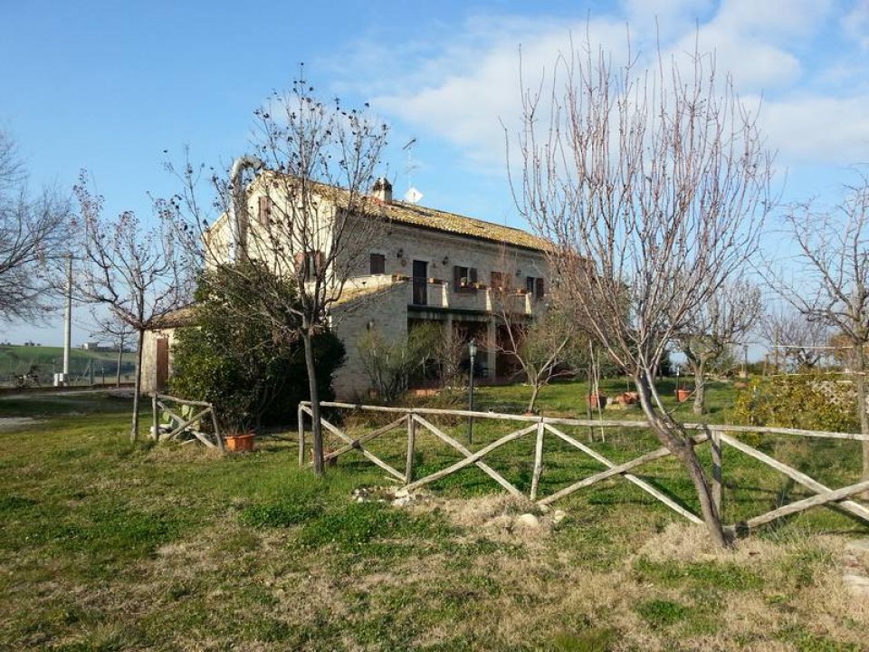 For sale cottage in quiet zone Lapedona Marche foto 1