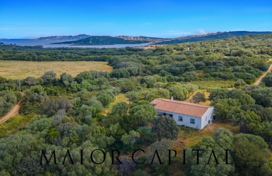 A vendre Villa Mer Palau Sardegna