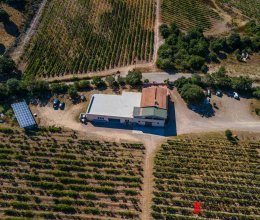 Commercial property Quiet zone Olbia Sardegna Commercial property Quiet zone Olbia Sardegna