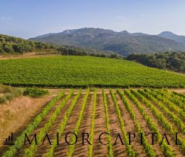 Land Ruhiges Gebiet Sant´Antonio di Gallura Sardegna