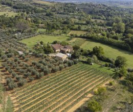 Ferme Campagne Montepulciano Toscana Ferme Campagne Montepulciano Toscana