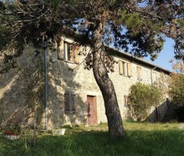 Cottage  Passignano sul Trasimeno Umbria