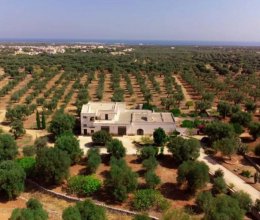 Cottage Quiet zone Fasano Puglia