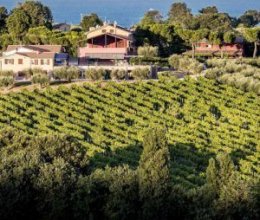 Immobilientransaktion Ruhiges Gebiet Pesaro Marche Immobilientransaktion Ruhiges Gebiet Pesaro Marche
