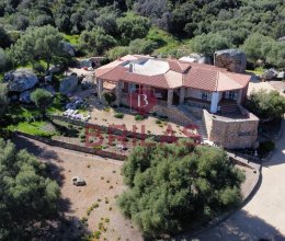 Villa Zone tranquille Arzachena Sardegna Villa Zone tranquille Arzachena Sardegna