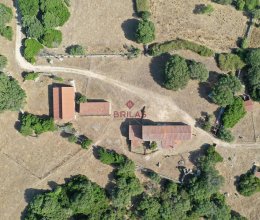 Terreno Zona tranquila Luogosanto Sardegna Terreno Zona tranquila Luogosanto Sardegna