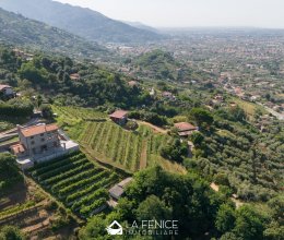 Villa Sea Pietrasanta Toscana Villa Sea Pietrasanta Toscana