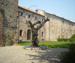 Castillo Campo Montiglio monferrato piemonte Castillo Campo Montiglio monferrato piemonte