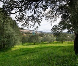 Moradia Zona tranquila Berchidda Sardegna Moradia Zona tranquila Berchidda Sardegna