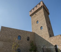 Castle Lake Passignano Sul Trasimeno Umbria Castle Lake Passignano Sul Trasimeno Umbria