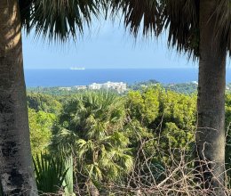 Land Landschaft Cabarete Costa nord Repubblica Dominicana Land Landschaft Cabarete Costa nord Repubblica Dominicana