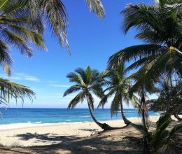 Land Meer Cabarete Costa nord Repubblica Dominicana Land Meer Cabarete Costa nord Repubblica Dominicana