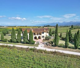 Villa Landschaft Pisa Toscana Villa Landschaft Pisa Toscana
