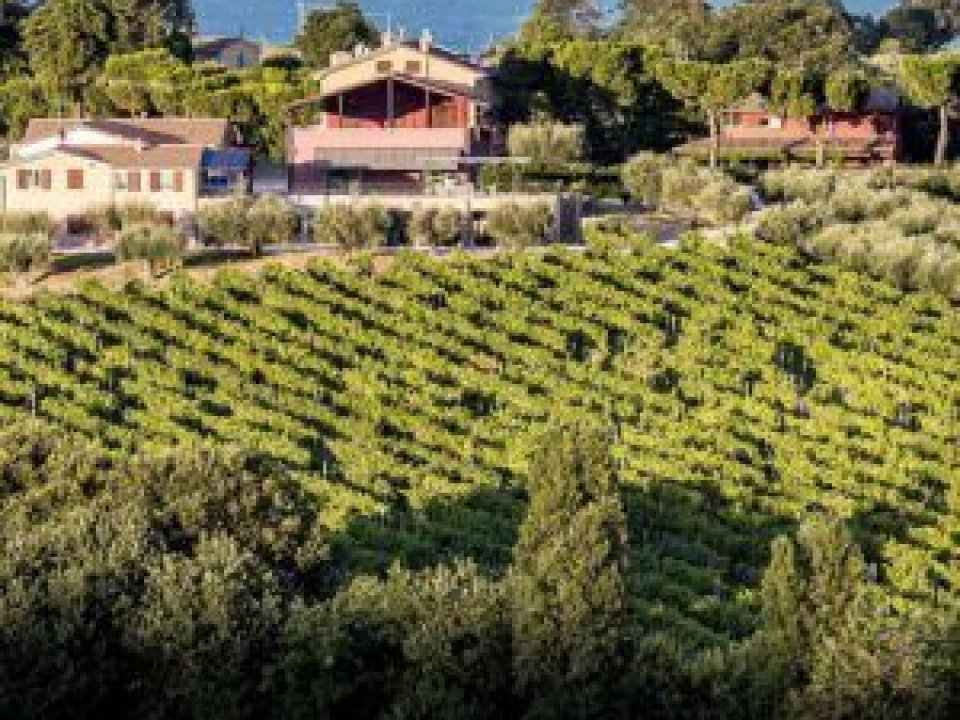 Transação imobiliária Zona tranquila Pesaro Marche Transação imobiliária Zona tranquila Pesaro Marche