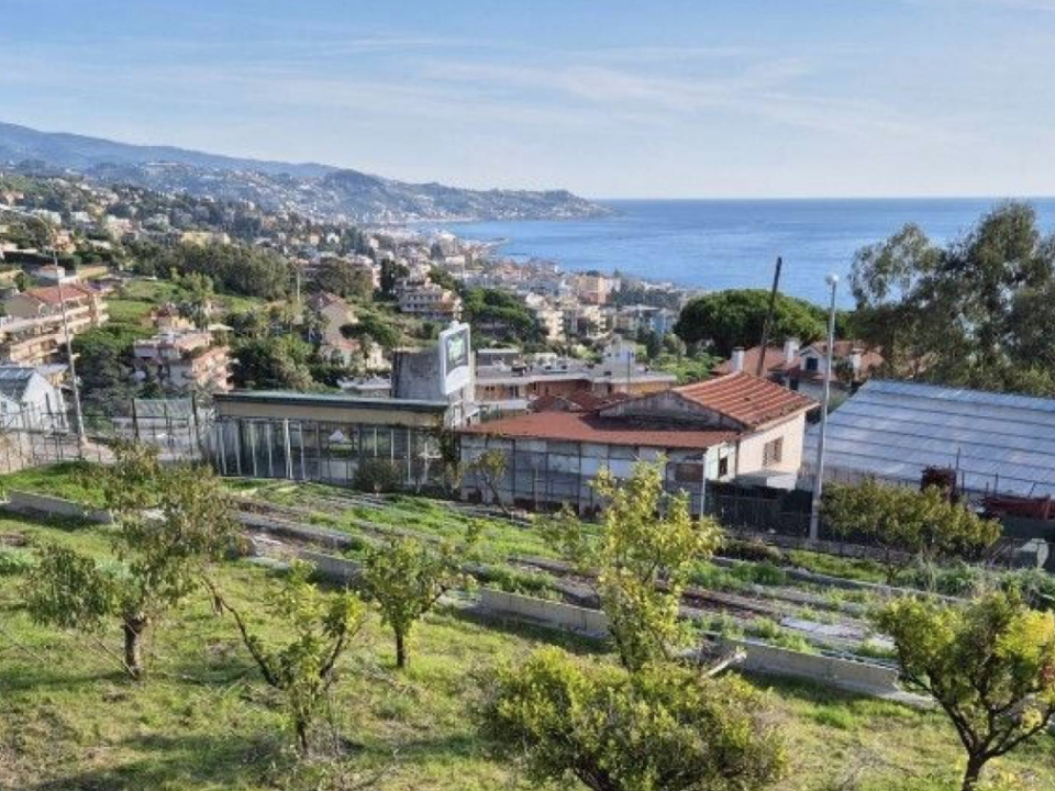 Villa Quiet zone Sanremo Liguria Villa Quiet zone Sanremo Liguria