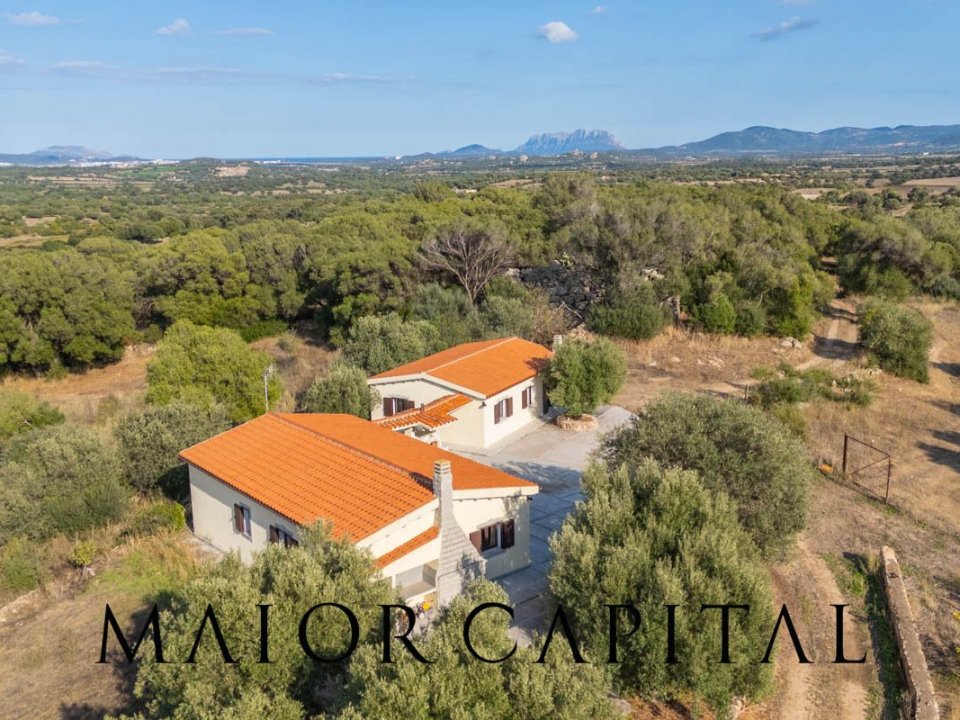 Villa Campagne Olbia Sardegna Villa Campagne Olbia Sardegna